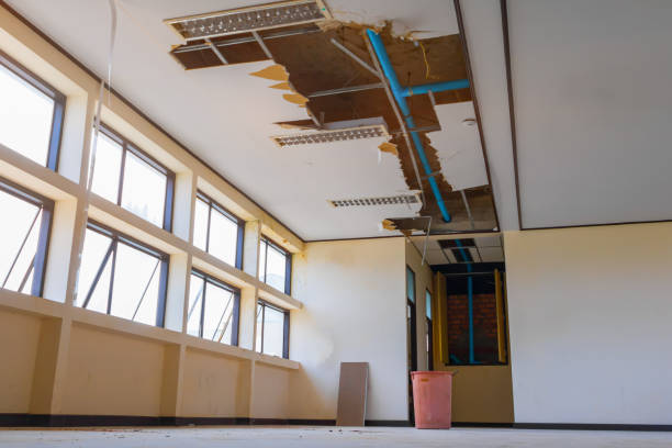  Safford, AZ Water damage restoration Pros