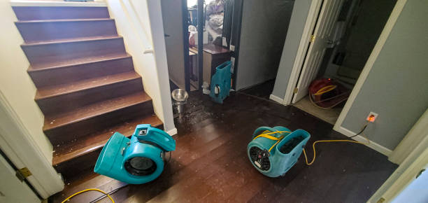 Best Flood damage cleanup  in Safford, AZ