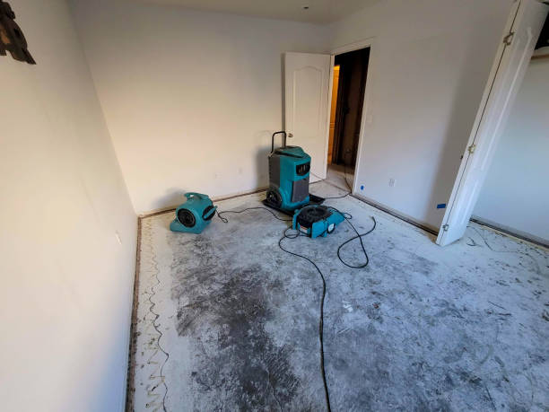 Best Flood restoration services  in Safford, AZ