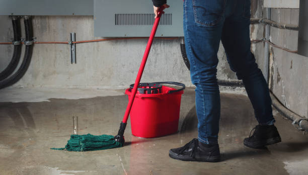 Best Commercial water damage restoration  in Safford, AZ