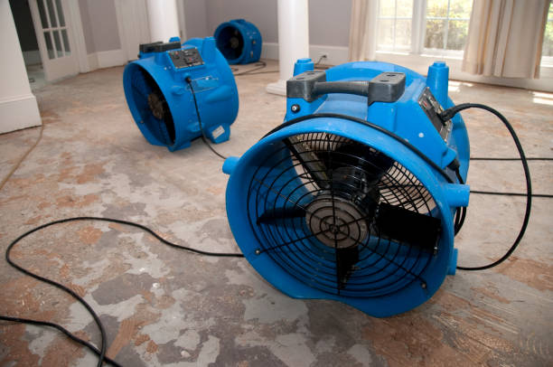 Best Water damage contractors near me  in Safford, AZ