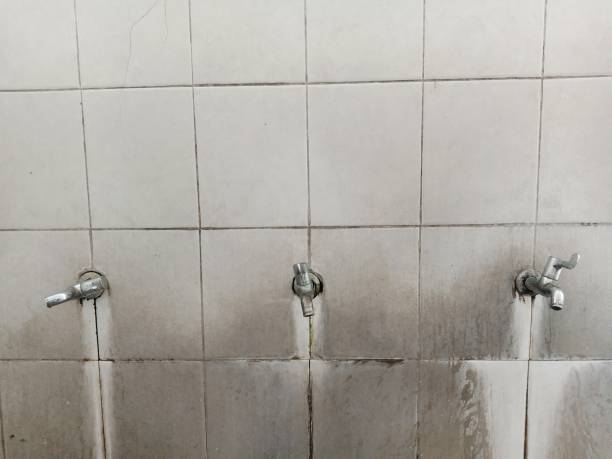 Best 24-hour water damage restoration  in Safford, AZ