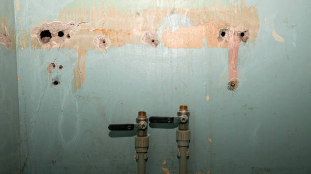 Best Local water damage restoration  in Safford, AZ