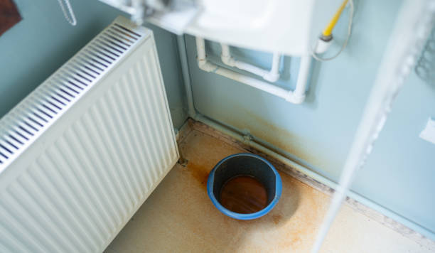Trusted Safford, AZ Water damage restoration Experts