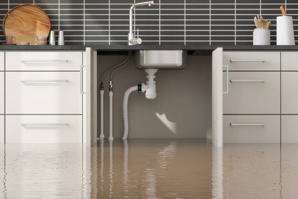 Best Water damage contractors near me  in Safford, AZ